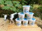 Lait Prairies du Boulonnais - Yaourt nature brassé au lait entier x6
