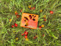 Agriloops - Tomates Cerises Méli Mélo 2 x 250g
