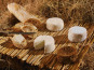Fromagerie de la Chapelle Saint Jean - Bray Picard - 6 Pièces