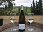 Mas De La Devèze - Côte du Roussillon AOP - Malice Blanc 2023