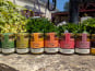 Bière L’Eurélienne – Brasserie de Chandres - Lot "personnalisable" de 4 TARTINADES DE LEGUMES Atelier Crosnier