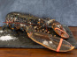 Fine de Cancale - Homard Bleu Vivant - 600/800g 10KG