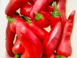Nature et Saveurs - Ferme Aquaponique et Permacole Astérienne - Piment Goria – Le piment doux qui enflamme les assiettes