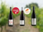 Domaine de la Chopinière du Roy - Coffret cadeau "A la découverte des vins rouges de Loire "- 3 x 75 cl