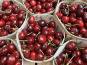 Domaine Reverchon - Cerises du Vaucluse 1kg