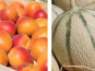 Domaine Reverchon - 5kg Abricot du Vaucluse + 5kg de Melon du Vaucluse