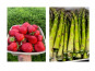 Domaine Reverchon - Lot Asperge verte 2kg et 1kg fraise clery