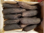 Maison Quéméner - Radis noir long - 10 pièces (environ 4 à 5 kg)