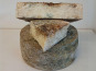 Chèvrerie des Fossés - Tomme de chèvre