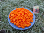 LES JARDINS DE KARINE - Courge Butternut surgelée en morceaux - 1kg