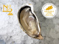 Le Termer - Huîtres de Normandie IGP N°2-24 Pièces "Saveurs de Normandie"