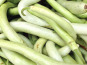 ChâteauFer - Courgette Longue 1kg