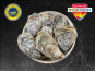 Le Termer - Huîtres de Normandie IGP N°4-24 Pièces "Saveurs de Normandie"