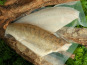 Aquaverdier - Filet de Sandre avec Peau 10x250g