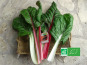 LES JARDINS DE KARINE - Blette entière 500g- 2 personnes