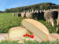 Dessine moi une brebis - Brebichon de brebis 200g