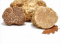Truffes des Roches - Truffe Blanche Borchii (Italie) 50g