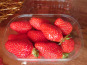Maison du Pruneau - Cueillette du Gascon - Fraises Gariguettes 250 G