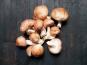 Elevage de Cochons en Forêt et Produits du Terroir Jurassien - Champignons frais SHIITAKE