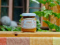 L'Arbocal - Ketchup de Mirabelle 125g