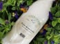 SCEA Brebis du Berry - Lait de brebis x12
