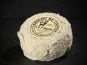 Les Affineurs des Volcans - Cabicou du Cantal Maury | Entier 80g