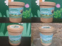 Les Pâturettes de Bodavel - Pack Glaces au lait de chèvre fruité 4x480ml