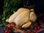 EARL Plumes et Laines - thanksgiving/Noel Dinde 4.5 kg