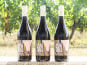 Domaine la Paganie - Vin Rouge bio - Malbec New Wave - 3 bouteille