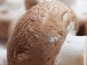 Mon Petit Producteur - Champignon De Paris Brun Bio - [vendu Par 250 g]+
