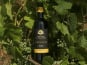 Domaine la Paganie - Vin rouge en Réserve Perpétuelle - Réserve des Henry 2022 - 1 bouteilles