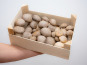 Les Myconautes - Pleurotes panicaut Bio - Cagette 2kg