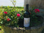 Domaine du Buisson - AOP Bordeaux rouge - 2022 - 1x75cl