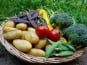 La Coussoyote - Panier de Légumes de saison - 5kg