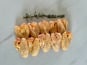 Ferme de Compreste - Wings de poulet fermier tradition x 10