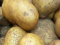 Mon Petit Producteur - Pomme De Terre Bio MAIWEN - Variété À Chair Tendre [vendu Par 2.5 Kg]+