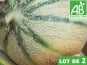 Mon Petit Producteur - Melon Céleste Bio x 2 [ Poids Moyen 1100 kg ]+