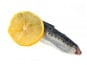 Ma poissonnière - Filet De Sardine - Lot De 1 Kg