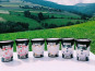 Les Glaces de la Vallée - Coffret glaces Fraicheur "la Vallée" 6x500ml