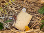 FermOgout - Part de Saint Fuscien - 350g