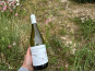 Domaine Céline Coté - Bourgogne Aligoté 2025