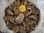 Aquaculture Chez Jaouen - Huîtres creuses fines du Morbihan N°2x72