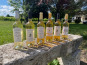 Vignobles Fabien Castaing - Lot Blancs Sucrés et Jus de Raisin