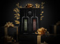 Domaine de LEOS - Coffret Cadeau Huiles d'olives Fruitées 2x250ml