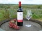 Château des Rochers - Vin rouge AOC Castillon-Côtes de Bordeaux 2016