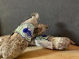 L'Auvergnat - Saucisson à la myrtille ~ 200g