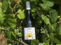 Domaine la Paganie - Vin Rouge nature - Démarrage en COT - 1 bouteille