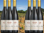 Château Saint Estève d'Uchaux - Grande Réserve Rouge 2020 BIO AOP Villages Massif d'Uchaux  x6