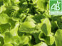 Mon Petit Producteur - Salade Feuille De Chêne Bio - [vendu Par 1 Pièce]