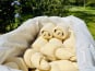 Ferme Sereine en Périgord - Lot 12 pains au chocolat + 12 croissants PUR BEURRE gourmand SURGELÉS